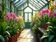 das-gewaechshaus-orchidee-2-optimal-fuer-tropische-pflanzen