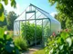 die-richtige-gewaechshaus-folie-140x140x200-cm-fuer-optimale-wachstumsbedingungen