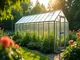 die-vorteile-eines-gewaechshaus-laenglich-fuer-platzsparendes-gaertnern