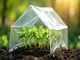 gewaechshaus-folie-mini-optimaler-schutz-fuer-kleine-pflanzen